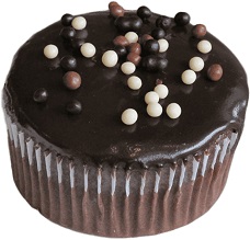Cupcake Chocolate Fudge (6)