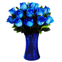 Blue roses bouquet (dozen)