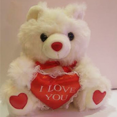 Medium love Teddy bear