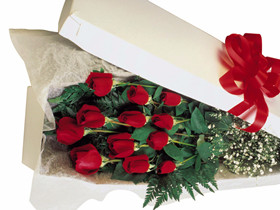 One dozen roses (boxed)