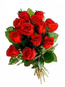 Medium red roses (dozen)