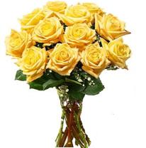 Medium yellow roses (dozen)