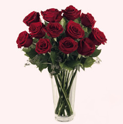 Dozen Red roses (long stem)