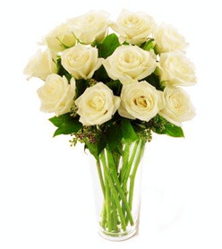 Dozen white roses (long stem)