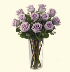 Dozen lavender roses (long stem)